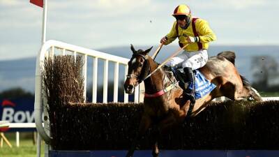 Grand National: Dermot McLoughlin happy with Dylan's weight