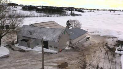 Inside this 1840s N.B. barn is a dream hockey rink - cbc.ca