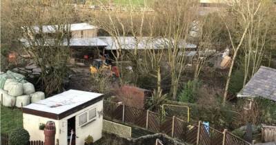 Cow shed accused of causing ‘epidemic of flies’ and 'repulsive smells' for residents must be removed - manchestereveningnews.co.uk