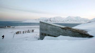 Doomsday seed vault carved into the Arctic landscape opens its doors to receive a rare deposit - euronews.com - Germany - Norway - Sudan - New Zealand - Morocco - Lebanon - Syria - Uganda