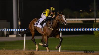 Undefeated Shahama on course for second UAE Classic prize