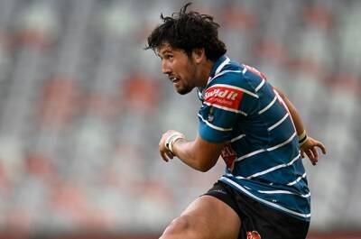 Frans Steyn - Currie Cup - A new Frans Steyn? Griquas measured but excited over gifted Zander du Plessis - news24.com
