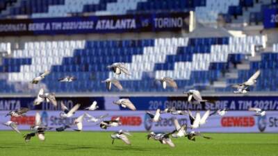 Boston Celtics co-owner buys into Serie A club Atalanta