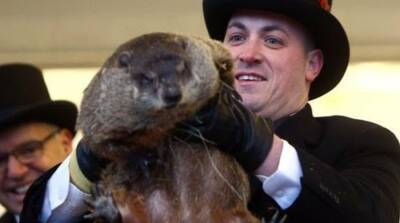 Muere la marmota Milltown Mel horas antes del ‘Día de la Marmota’