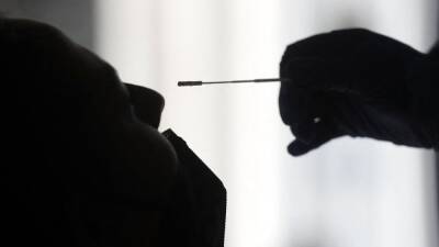 El hombre que dio positivo 232 días seguidos - en.as.com -  Sao Paulo