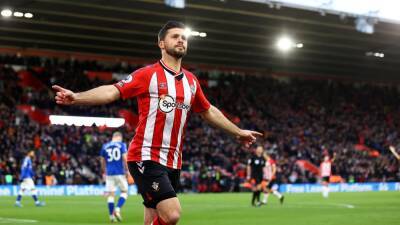 Ralph Hasenhuttl - Shane Long - Hassenhuttl hails 'role model' Long after Everton goal - rte.ie - Ireland - county Southampton