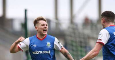 Linfield new boy Chris McKee is 'living the dream' after swapping Rangers for Windsor