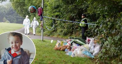 Logan Mwangi murder trial due to begin – follow latest from court - walesonline.co.uk -  Coventry -  Essex - county Cole - county Williamson - county Park