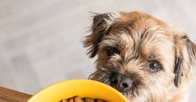 With over a million recipe combinations, tails.com has just what your dog needs - manchestereveningnews.co.uk - Britain