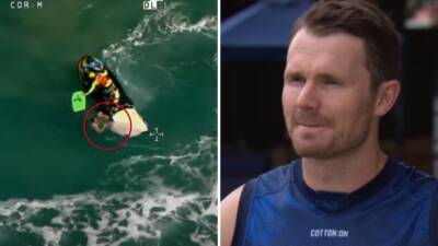 Geelong cats star Patrick Dangerfield praised for saving three swimmers at Victoria’s Moggs Creek - 7news.com.au