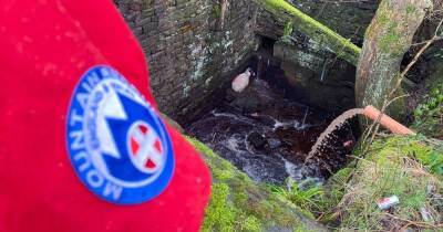 'All's wool that ends wool': Lucky sheep stranded at bottom of deep drainage ditch is saved by mountain rescue - manchestereveningnews.co.uk