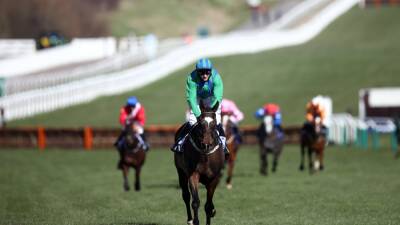 Cheltenham Festival: Appreciate It's absence not a worry for Willie Mullins