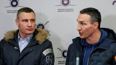Boxing-Klitschko brothers to take up arms and fight for Ukraine