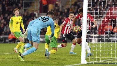 James Ward-Prowse - Che Adams - Saints ease past struggling Norwich in EPL - 7news.com.au -  Norwich