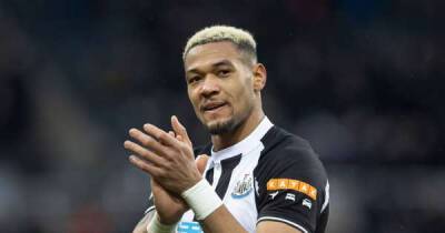 Newcastle United can put relegation fear to bed and why Joelinton needs an apology