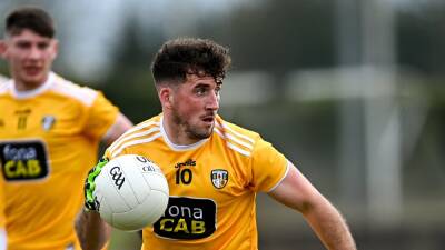 Ryan Murray to the rescue as Antrim draw with Laois - rte.ie - county Walsh - county Barry