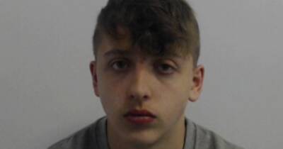 PICTURED The teenagers who killed Reece Tansey, 15, as their parents thought they slept - manchestereveningnews.co.uk - state Indiana - county Park