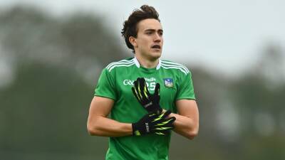 Limerick continue perfect start with deserved win over Antrim
