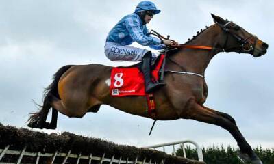 Rachael Blackmore - Talking Horses: Honeysuckle can bloom at Leopardstown - theguardian.com - Ireland - county Henry -  Dublin -  Leopardstown - county Creek - county Jefferson