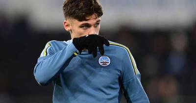 The Jamie Paterson interview: What's really gone on, the jubilant FaceTime call at 11pm on deadline day and my dream Swansea City scenario