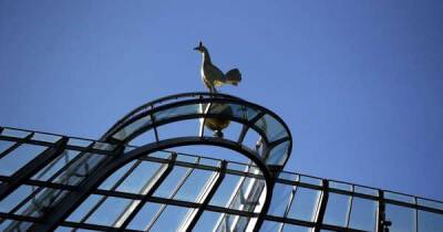 Journalist: Tottenham now plotting move for 18-goal striker who they could sign post-January - msn.com - Britain -  Leicester