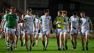 Limerick early season form based on years of hard work - rte.ie - county Antrim