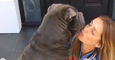Louise Redknapp heartbroken as she tells fans her beloved pet dog has died - manchestereveningnews.co.uk