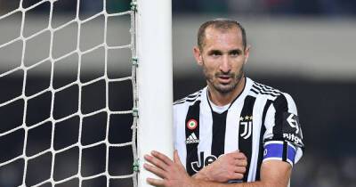 Soccer-Juventus captain Chiellini ruled out with calf injury