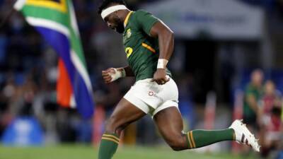 Springboks to host Wales, NZ and Argentina