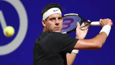 Juan Martín del Potro loses to Federico Delbonis in the Argentina Open after first game in three years