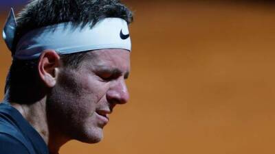 Juan Martin del Potro loses on return and hints at farewell