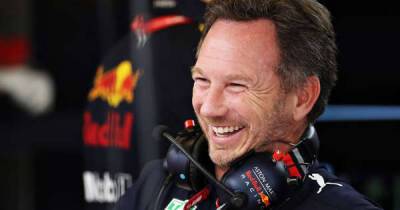 Red Bull chief Christian Horner pays £4k for '20-person' Mercedes factory tour