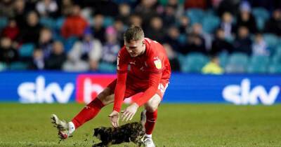 Kurt Zouma shown how to treat cats as former St Johnstone defender Jason Kerr handles surprise pitch invader