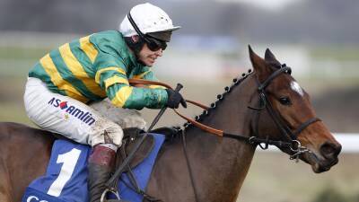'One of the best' Johnson hails retiring Defi Du Seuil - rte.ie - county Chase - county Creek