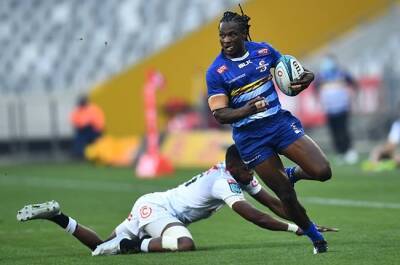 John Dobson - 'Desperate' Senatla on 'right trajectory' to reach new heights with Stormers - news24.com -  Cape Town - province Western