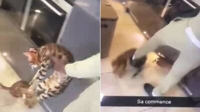 Kurt Zouma - Adidas rompe con Zouma - en.as.com