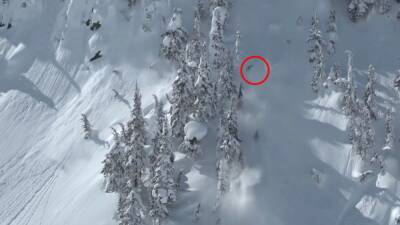 La avalancha que estampó contra los árboles y enterró a McNutt - en.as.com -  Montana