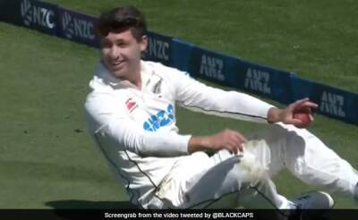 Watch: Will Young's "Simply Outrageous Catch" In New Zealand vs South Africa 2nd Test