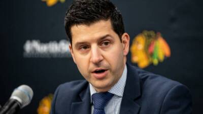 Blackhawks drop interim tag, name Davidson GM - tsn.ca -  Chicago