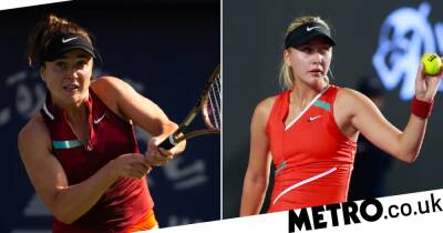 Elina Svitolina - Vladimir Putin - Ukrainian tennis star Elina Svitolina reveals WTA are considering proposal she made to Russian opponent - metro.co.uk - Russia - Ukraine - Belarus