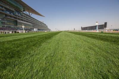 New horse sale appetizer for racing fans ahead of showpiece Dubai World Cup