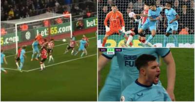Eddie Howe - Bruno Guimaraes - Dan Burn - Newcastle's Bruno Guimaraes scores stunning back-heel volley vs Southampton - msn.com