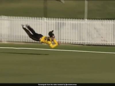 "Oh My God": Watch Australian Cricketer Hilton Cartwright's Mind-Boggling Catch In Marsh Cup