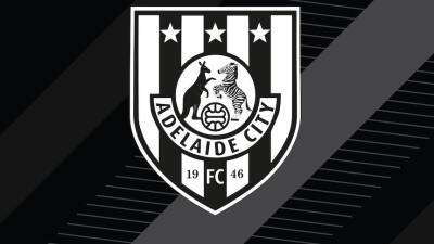 Adelaide City chief condemns fans over homophobic abuse aimed at rival soccer clubs