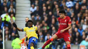 Brighton - Liverpool en vivo online: Luis Díaz en la Premier League, en directo - AS Colombia