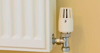 Evening News - Martin Lewis - Mum slashes monthly heating bill from £95 to £12 thanks to Martin Lewis tip - manchestereveningnews.co.uk - Manchester