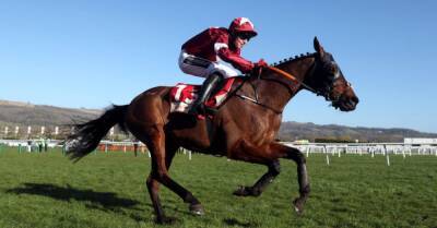 Willie Mullins - Cheltenham - Gordon Elliott - Tiger Roll hopes to enjoy victorious Cheltenham Festival farewell - breakingnews.ie - France - Ireland