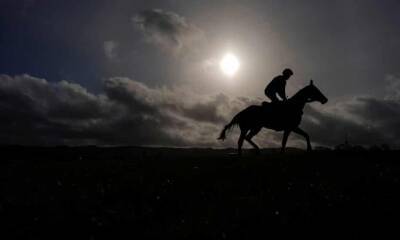 Rachael Blackmore - Talking Horses: Honeysuckle primed for sweet victory in Champion Hurdle - theguardian.com - Ireland -  Punchestown -  Leopardstown