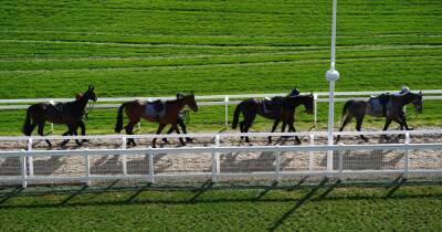 What does NAP in horse racing mean? Cheltenham Festival to be set off by fabled favourite tag - dailyrecord.co.uk - France - Scotland