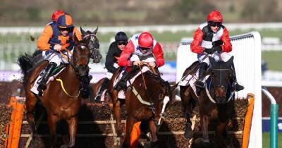 Cheltenham Festival tips: Supreme Novices Hurdle, Arkle Chase selections and more from our tipster on day one